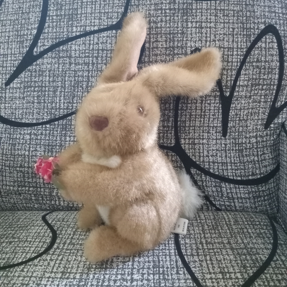 Fluffy Bunny Rabbit